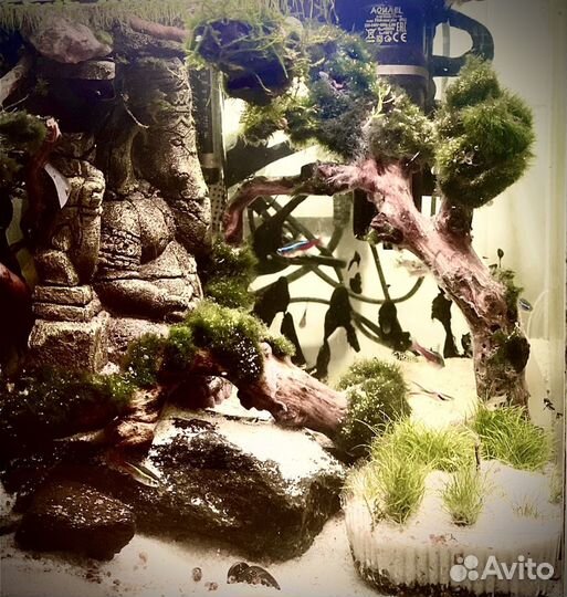 Дизайн аквариумов