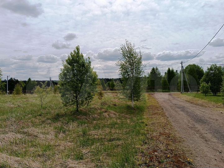 Участок 32 сот. (СНТ, ДНП)