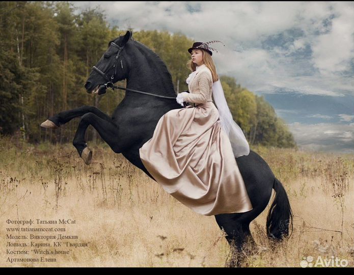 Конные прогулки, заказать лошадь на мероприятие