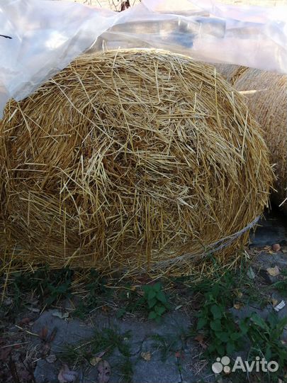 Солома в рулонах
