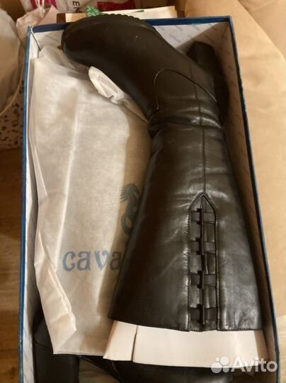 Сапоги женские зимние на полную икру