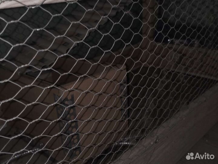 Клетка для грызунов самодельная