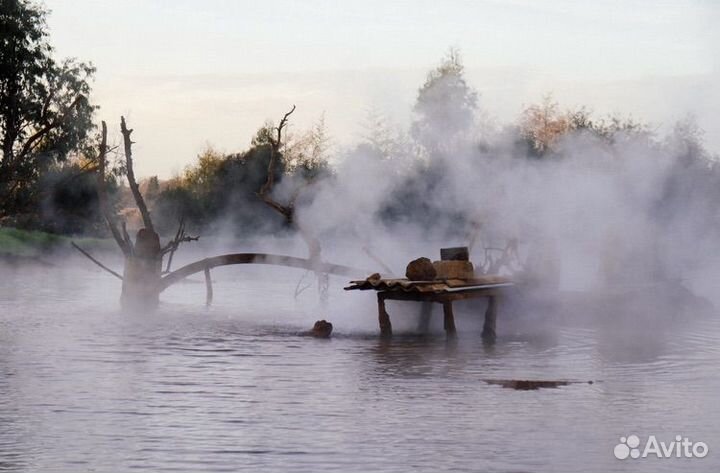 Экскурсии в Абхазию Черниговка Сухум Источник