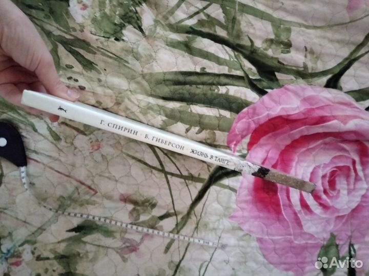 Геннадий Спирин Жизнь в Тайге