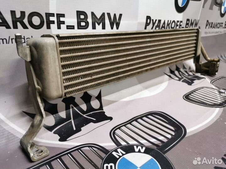 Радиатор масляный Bmw X5 E53 N62B48 2005