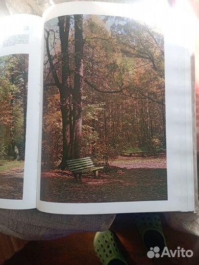 Книга лесопарки СССР