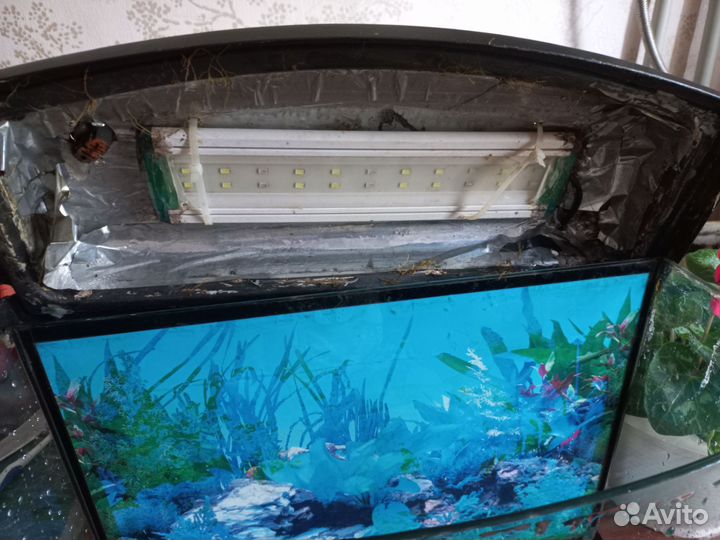 Аквариум