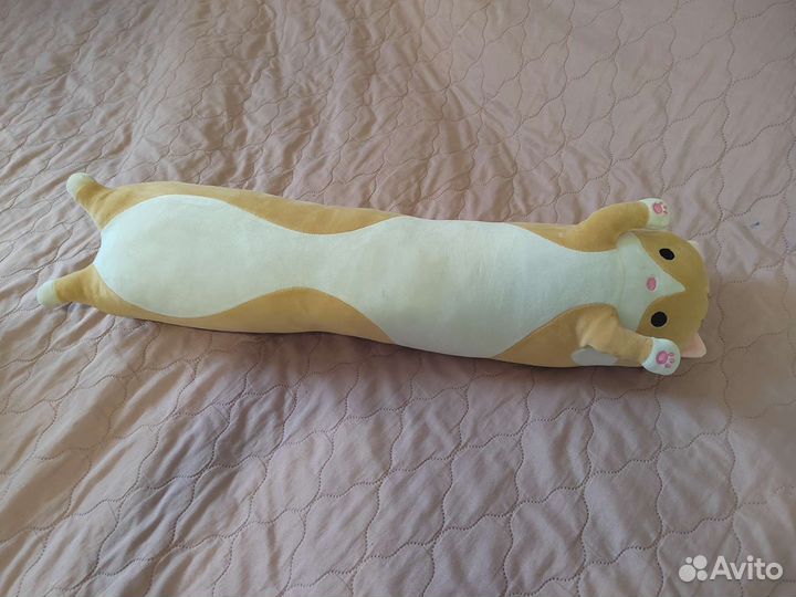 Кот колбаса