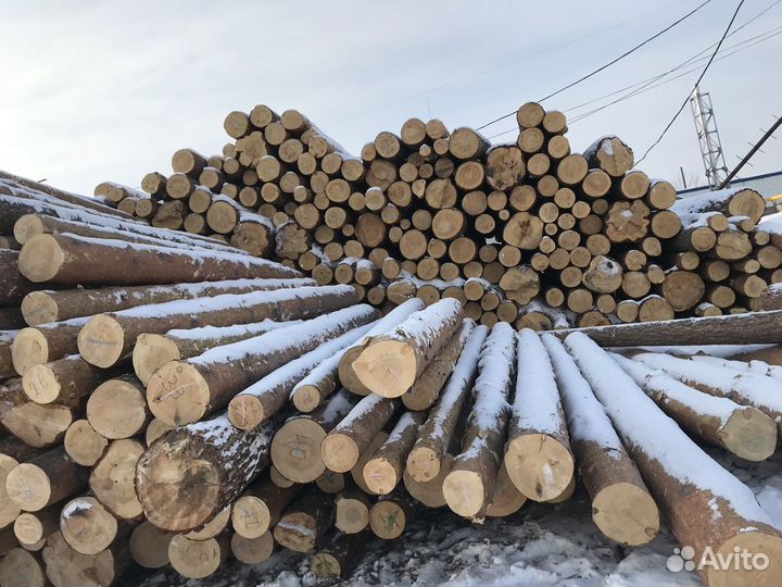 Рамщик на ленточную пилораму