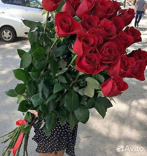 Розы Букеты Цветы Розы 31 101 151 201 Доставка