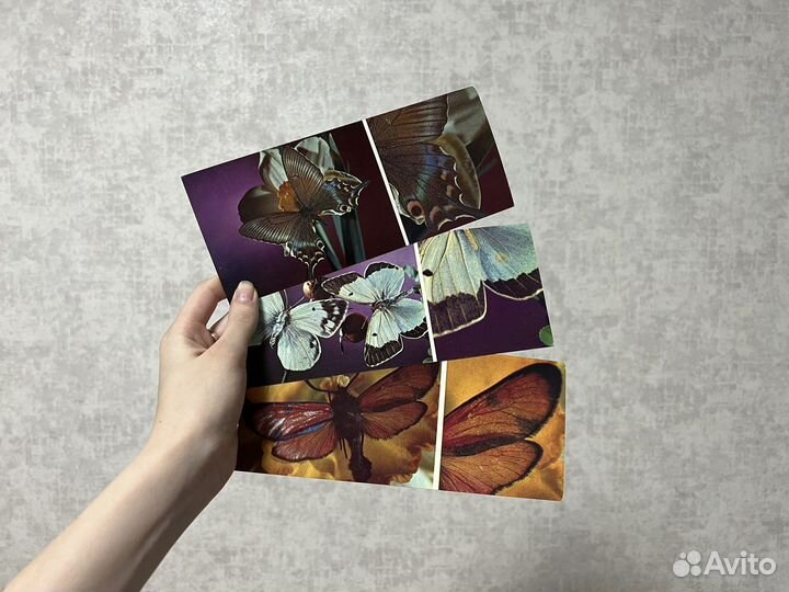 Набор открыток СССР Бабочки 1976г