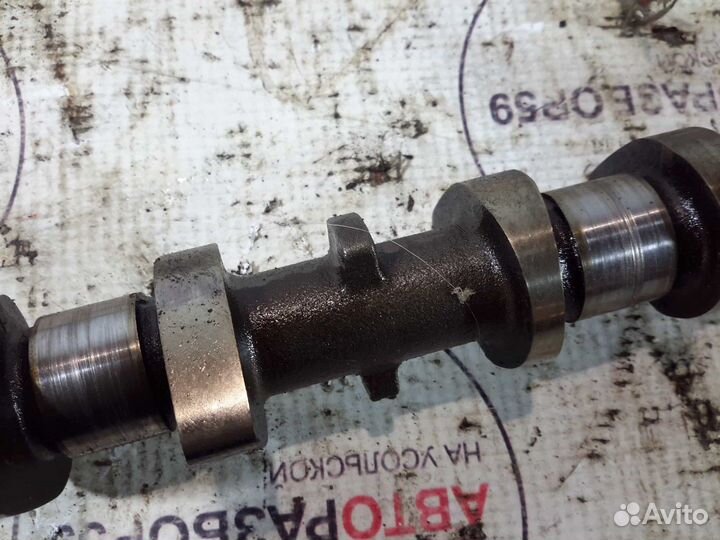 Распредвал впускной Renault Fluence