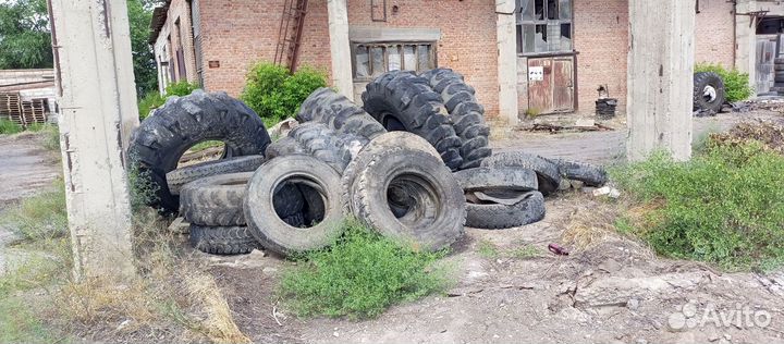 Покрышки бесплатно