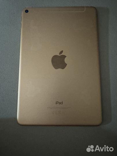 iPad mini 5 256gb cellular