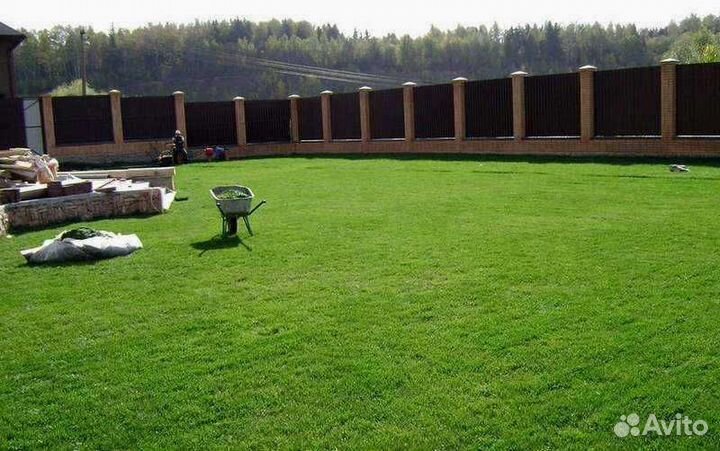 Укладка газона