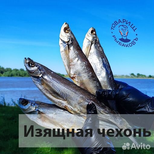 Вяленая рыба и икра