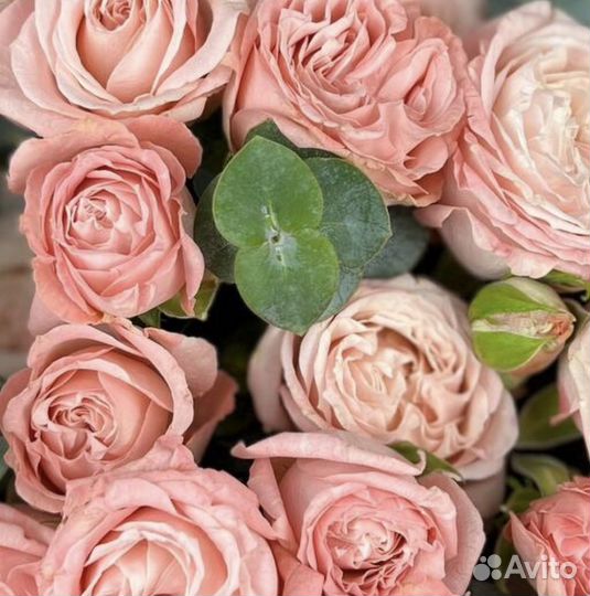 Букет из пион роз и эвкалипта