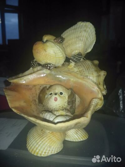 Сувениры из ракушек