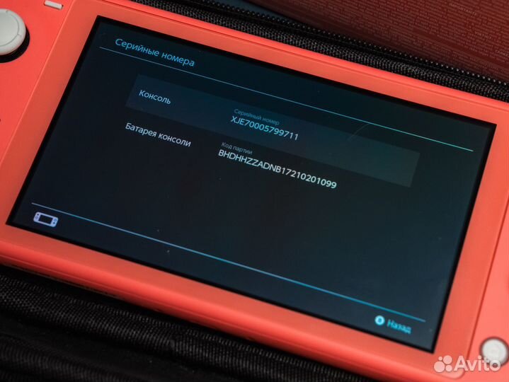 Nintendo Switch Lite