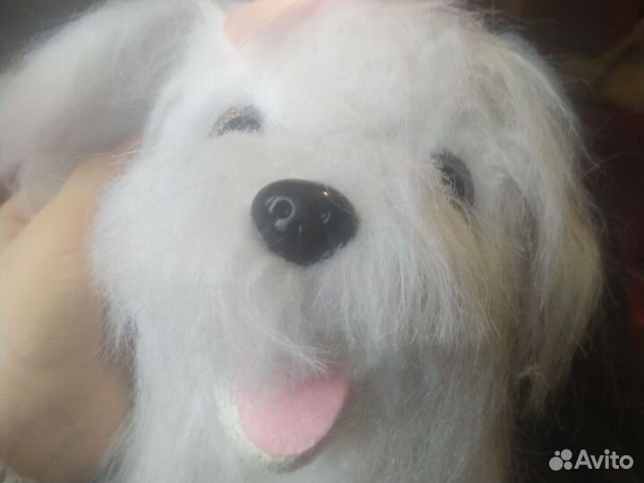 Собака Бйанка на батарейках но батареи не будет