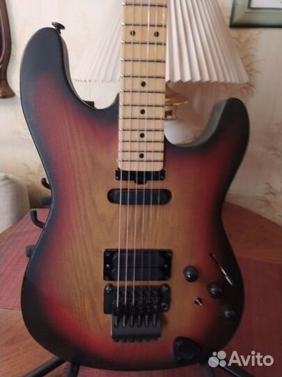 Burncuster twin br.Lebdewe USA