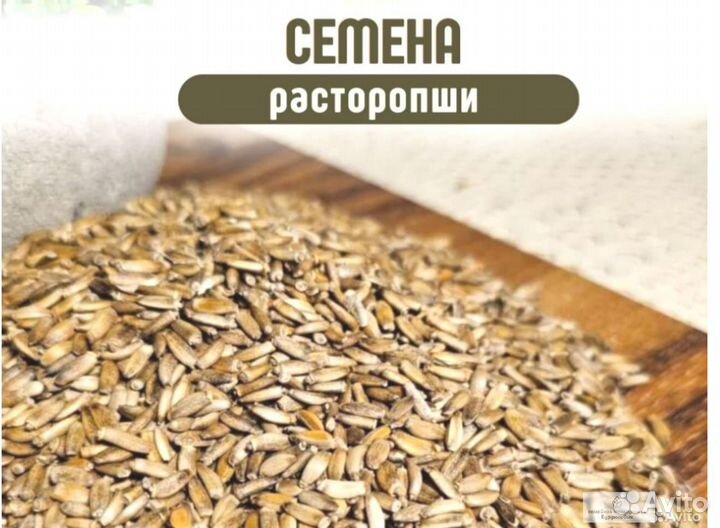 Семена рассторопши на заказ