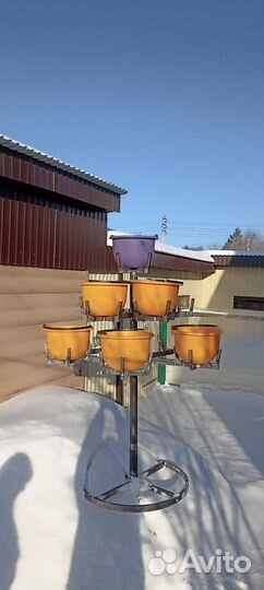 Петуньевое дерево