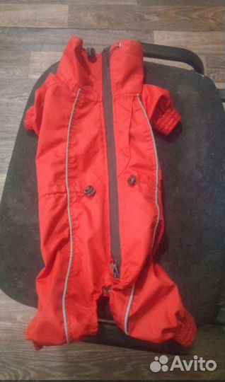 Зимний и демисезонный комбинезоны, дождевик для со