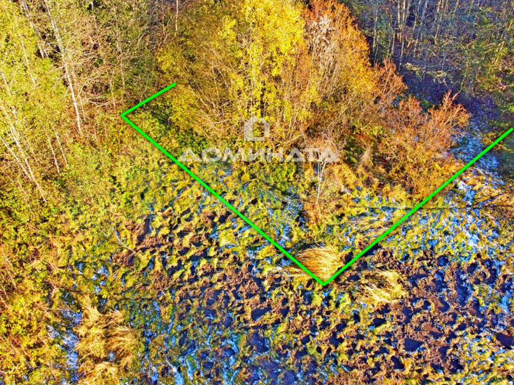 Участок 12,5 сот. (СНТ, ДНП)