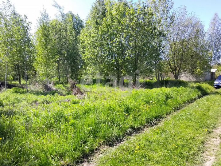 Участок 5,4 сот. (СНТ, ДНП)