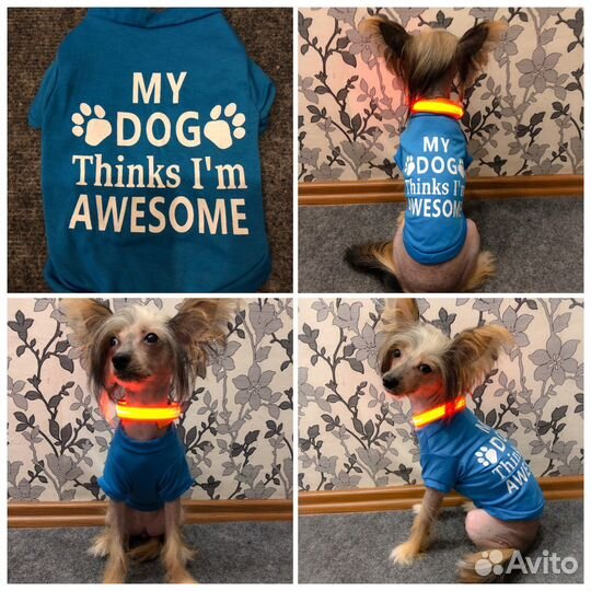Одежда жля собак