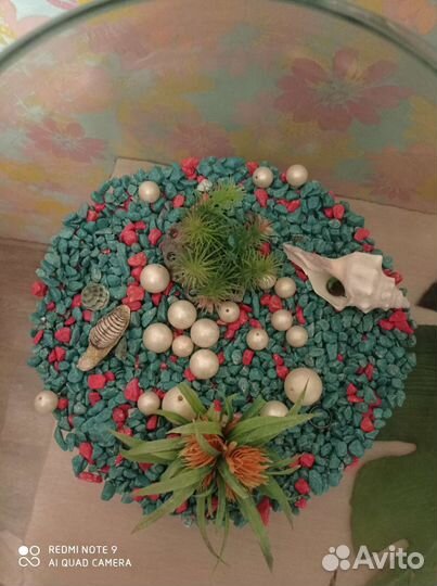 Большой круглый аквариум