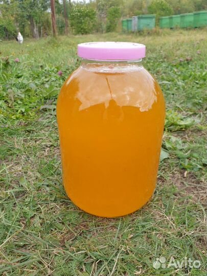 Мед натуральный, качка 30 августа 2022