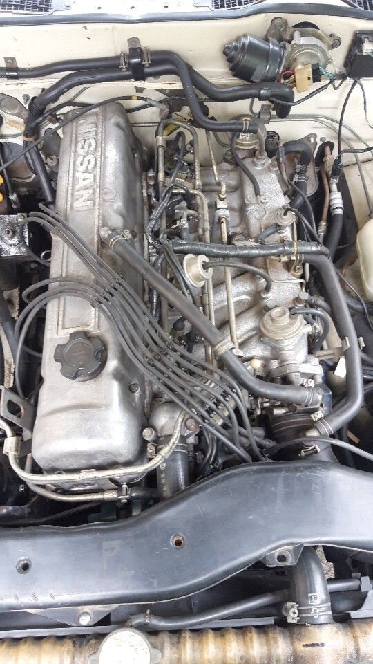 Nissan Cedric: фото из отзыва