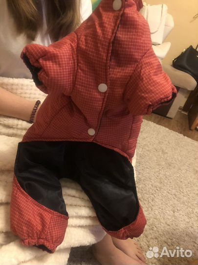 Комбинезон для средней собаки