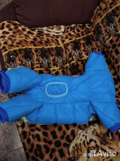 Одежда для собак