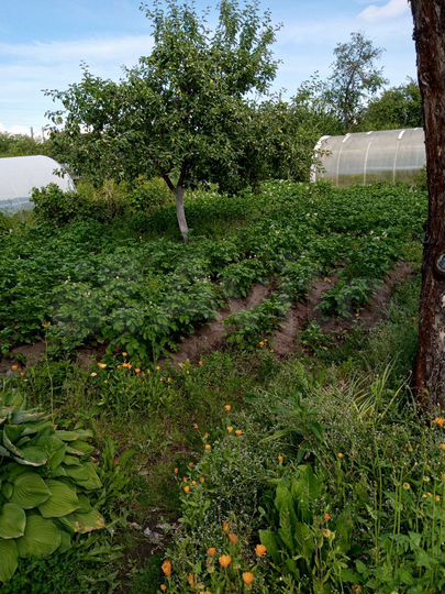 Дом 25 м² на участке 4,6 сот.