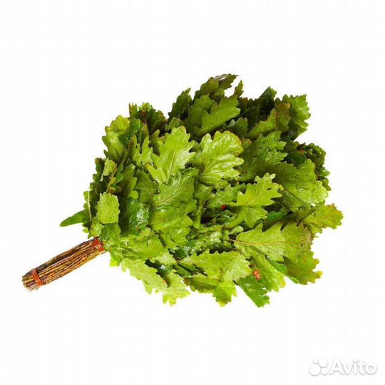 Веник дубовый