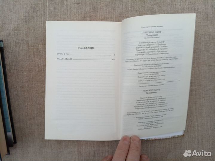 Виктор Мережко. Хуторянин. Красный Дон. 2014 год