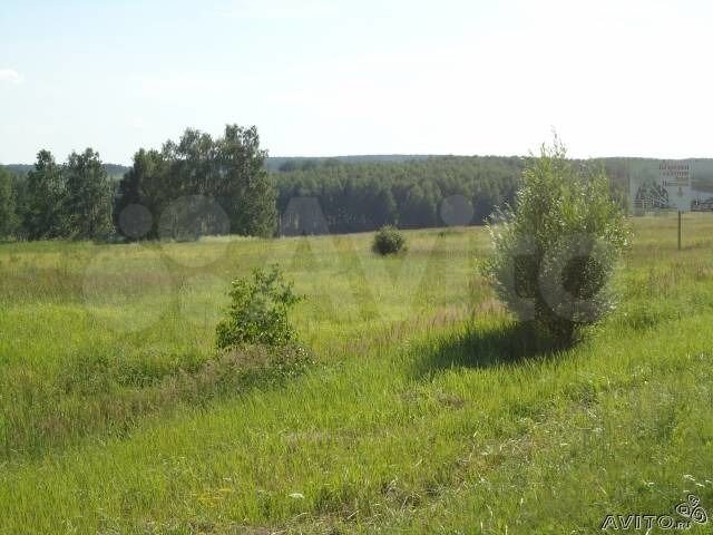 Участок 2,3 га (СНТ, ДНП)