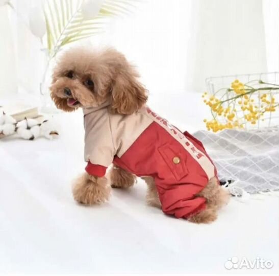 Комбинезон для собак