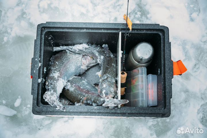 Ящик camping World Друг-2, 25л, черн