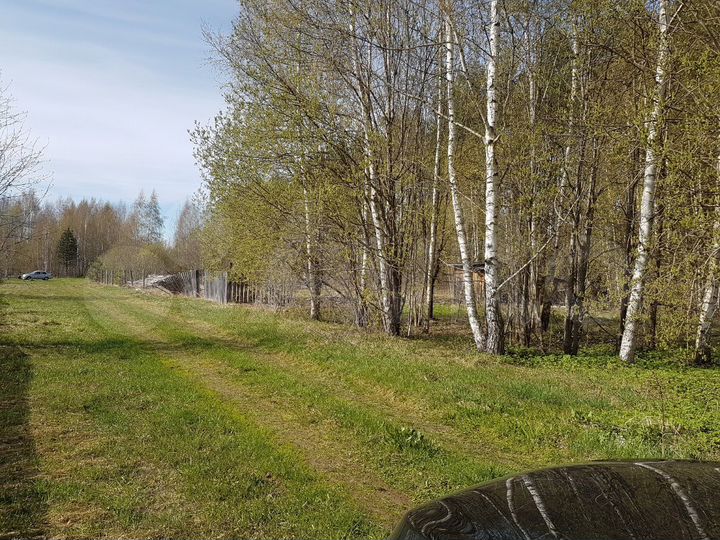Участок 12 сот. (СНТ, ДНП)