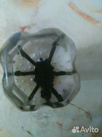 Ручка кпп паук