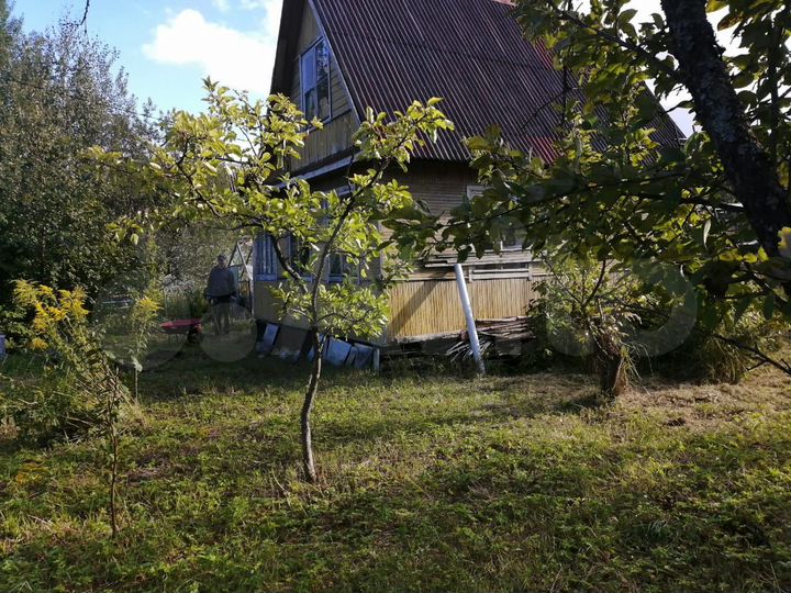 Участок 6 сот. (СНТ, ДНП)