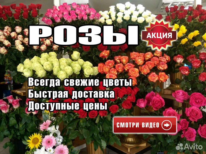 Букет роз 51 роза с доставкой