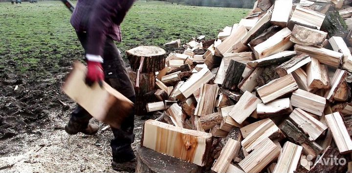 Дрова 35 см