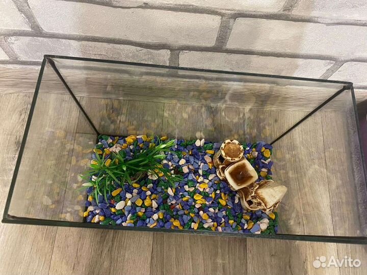 Аквариум с оборудованием