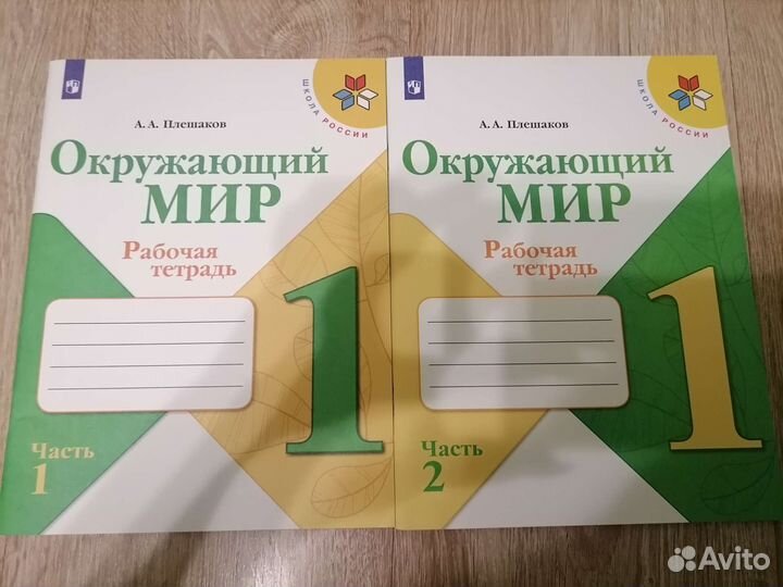 Рабочие тетради 1 класс школа россии