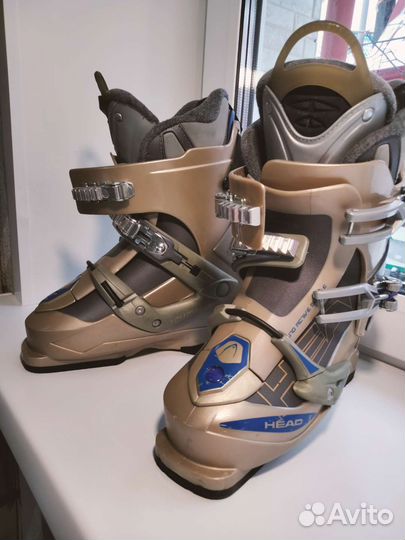 Горные лыжи fischer